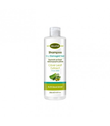 Shampoo for dry / damaged hair with aloe vera, 250ml